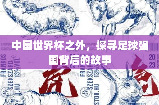 中国世界杯之外，探寻足球强国背后的故事漯河市盈旭机械设备有限公司