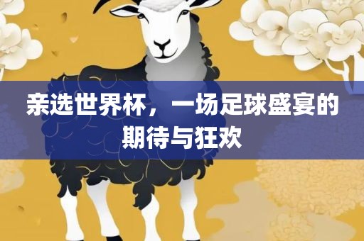 亲选世界杯，一场足球盛宴的期待与狂欢漯河市盈旭机械设备有限公司