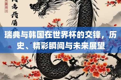 瑞典与韩国在世界杯的交锋，历史、精彩瞬间与未来展望