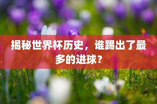 揭秘世界杯历史，谁踢出了最多的进球？漯河市盈旭机械设备有限公司