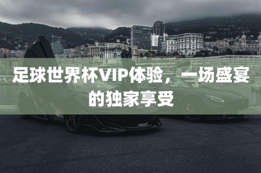足球世漯河市盈旭机械设备有限公司界杯VIP体验，一场盛宴的独家享受