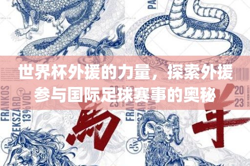 世界杯外援的力量，探索漯河市盈旭机械设备有限公司外援参与国际足球赛事的奥秘