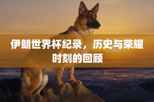 伊朗世界杯纪录，历史与荣耀时刻的回顾