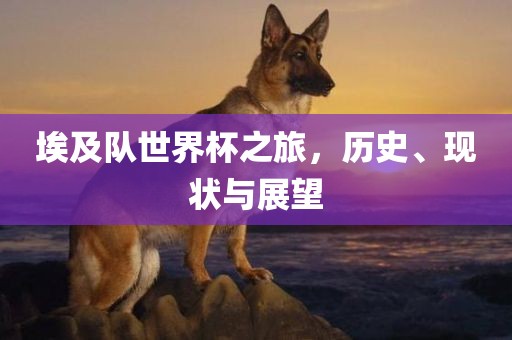 lulan 第3页