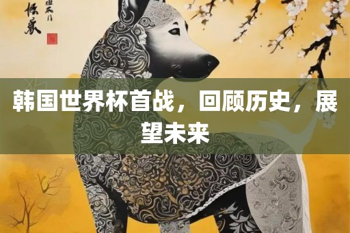 韩国世界杯首战，回顾历史，展望未来漯河市盈旭机械设备有限公司