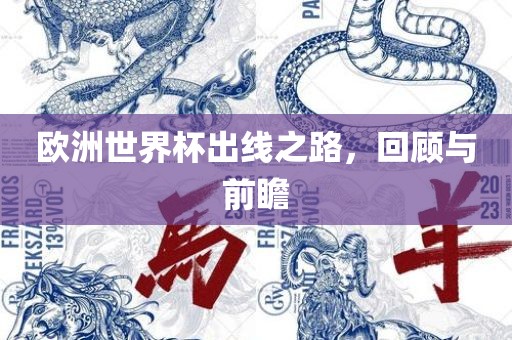 欧洲漯河市盈旭机械设备有限公司世界杯出线之路，回顾与前瞻
