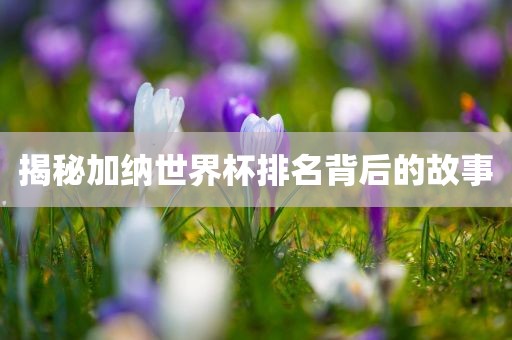 揭秘加纳世界杯排名背后的故事