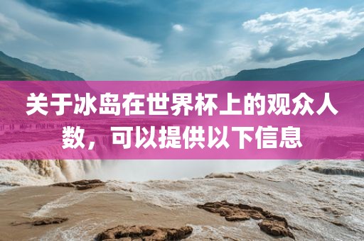 关于冰岛在世界杯上的观众人数，可以提供以下信息