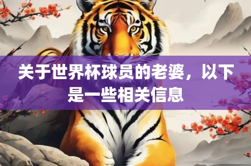 关于世界杯球员的老婆，以下是一些相关信息漯河市盈旭机械设备有限公司