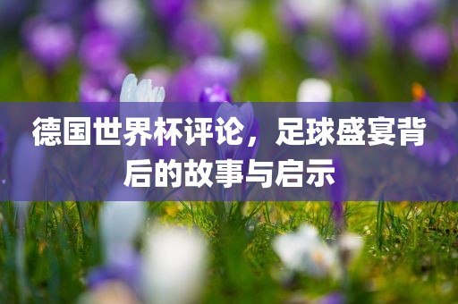 德国世界杯评论，足球盛宴背后的故事与启示