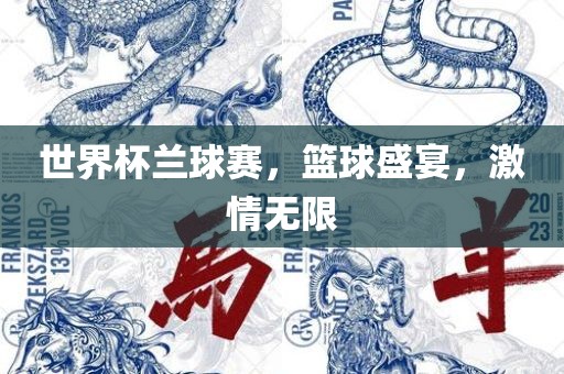 世界杯兰球赛，篮球盛宴，激情无限