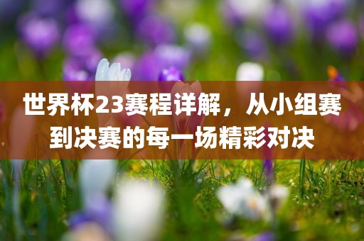 judong 第3页
