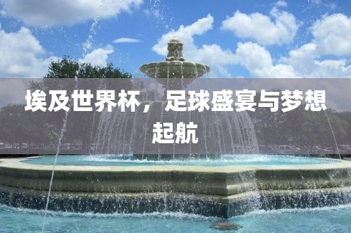 埃及漯河市盈旭机械设备有限公司世界杯，足球盛宴与梦想起航