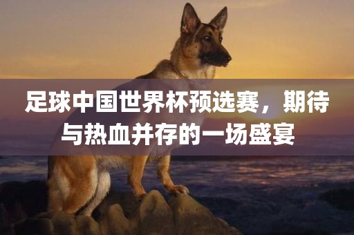 足球中国世界杯预选赛，期待与热血并存的一场盛宴漯河市盈旭机械设备有限公司