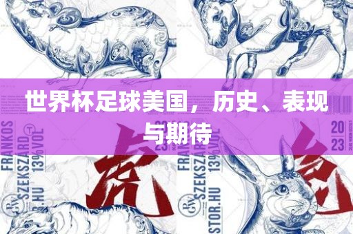 世界杯足球美国，历史、表现与期待漯河市盈旭机械设备有限公司