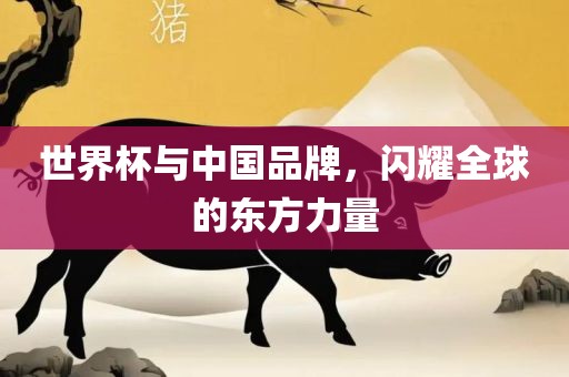 世界杯与中国品牌，闪耀全球的东方力量