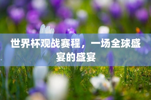 世界杯观战赛程，一场全球盛宴的盛宴