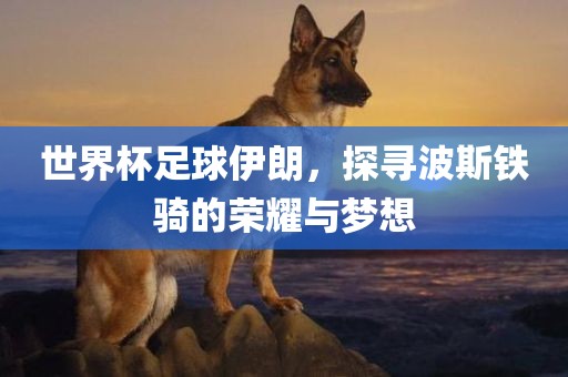 世界杯足球伊朗，探寻波斯铁骑的荣耀与梦想