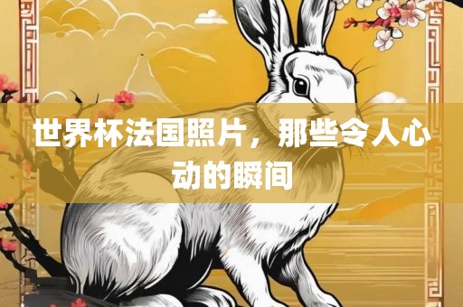 世界杯法国照片，那些令人心动的瞬间