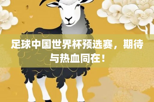 足球中国世界杯预选赛，期待与热血同在！漯河市盈旭机械设备有限公司