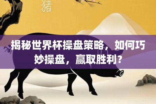 揭秘世界杯操盘策略，如何巧妙操盘，赢取胜利？漯河市盈旭机械设备有限公司