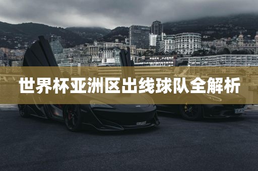 世界杯亚洲区出线球队全解析