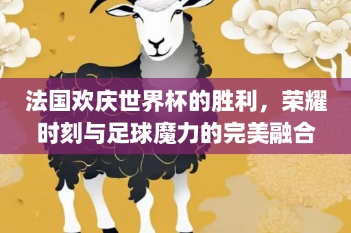 法国欢庆世界杯的胜利，荣耀时刻与足球魔力的完美融合