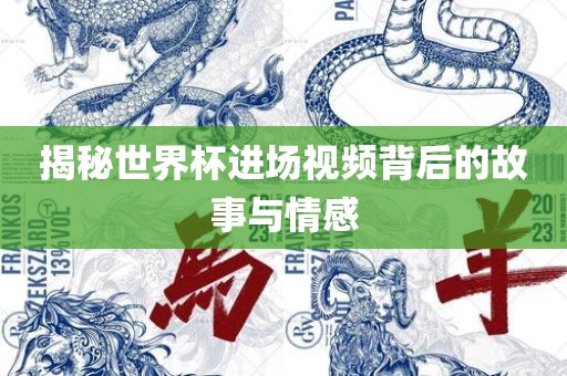 揭秘世界杯进场视频背后的故事与情感