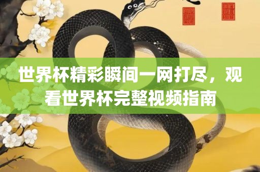 世界杯精彩瞬间一网打尽，观看世界杯完整视频指南