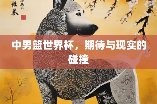 中男篮世界杯，期待与现实的碰撞