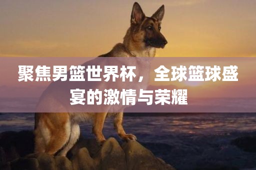 聚焦男篮世界杯，全球篮球盛宴的激情与荣耀