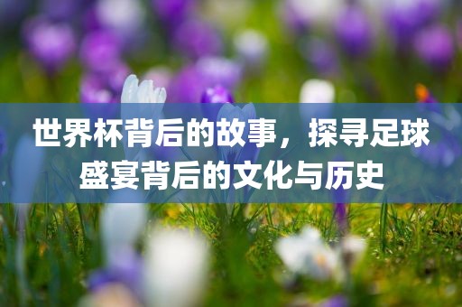 世界杯背后的故事，探寻足球盛宴背后的文化与历史漯河市盈旭机械设备有限公司