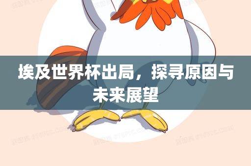 埃及漯河市盈旭机械设备有限公司世界杯出局，探寻原因与未来展望