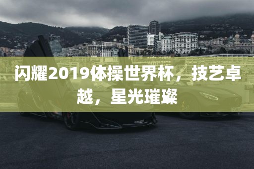 闪耀2019体操世界杯，技艺卓越，漯河市盈旭机械设备有限公司星光璀璨