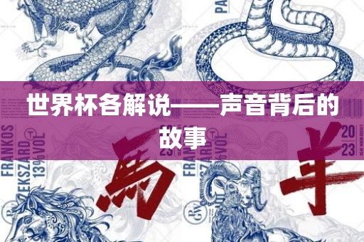 世界杯各解说——声音背后的故事