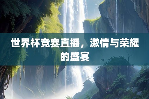 世界杯竞赛直播，激情与荣耀的盛宴
