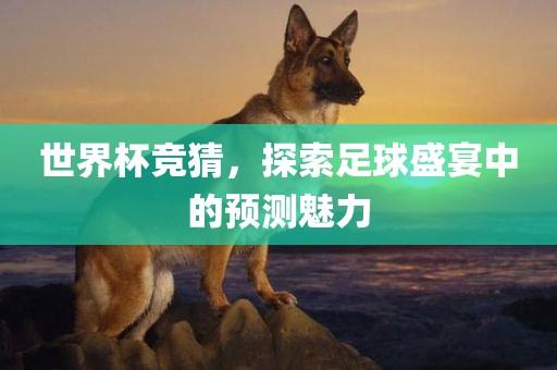世界杯竞猜，探索足球盛宴中的预测魅力