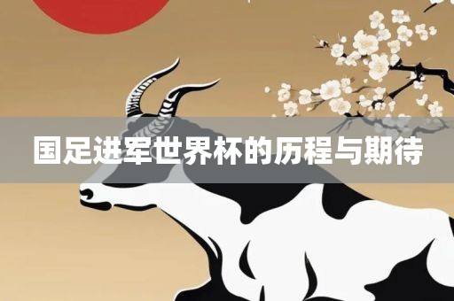 国足进军世界杯的历程与期待