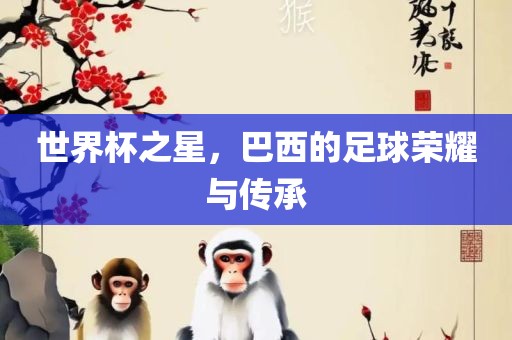 世界杯之星，巴西的足球荣耀与传承