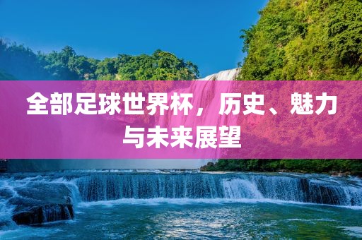 全部足球世界杯，历史、魅力与未来展望漯河市盈旭机械设备有限公司