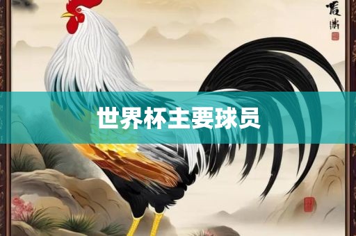 世界杯主漯河市盈旭机械设备有限公司要球员