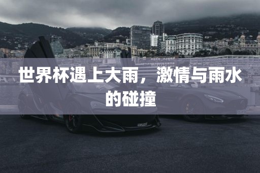 世界杯遇上大雨，激情与雨水的碰撞漯河市盈旭机械设备有限公司