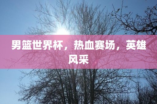男篮世界杯，热血赛场，英雄风采