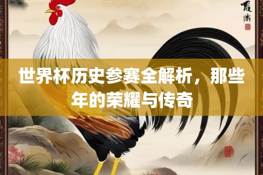 世界杯历史参赛全解析，那些年的荣耀与传奇