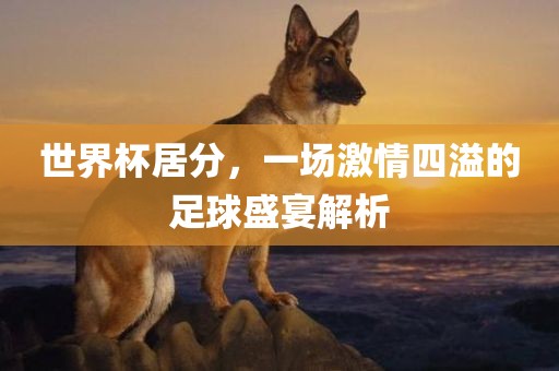 世界杯居分，一场激情四溢的足球盛宴解析漯河市盈旭机械设备有限公司