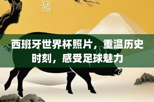 西班牙世界杯照片，重温历史时刻，感受足球魅力