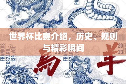 世界杯比赛介绍，历史、规则与精彩瞬间