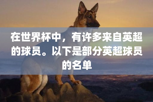 在世界杯中，有许多来自英超的球员。以下是部分英超球员的名单