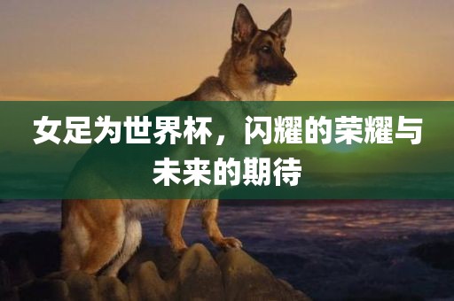 女足为世界杯，闪耀的荣耀与未来的期待