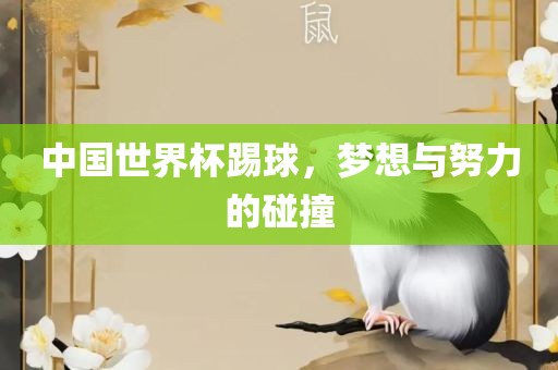 中国世界杯踢球，梦想与努力的碰漯河市盈旭机械设备有限公司撞